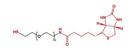 SH-PEG-Biotin Biotin-PEG-SH  巯基聚乙二醇生物素