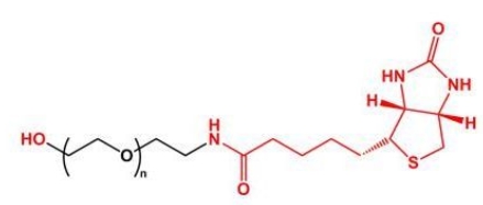  HO-PEG-Biotin Biotin-PEG-OH 羟基聚乙二醇生物素 