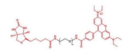 Biotin-PEG-Rhodamine  生物素聚乙二醇罗丹明
