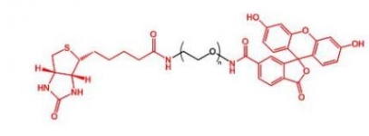 Biotin-PEG-FITC FITC-PEG-Biotin  生物素聚乙二醇荧光素