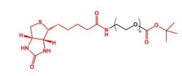  Biotin-PEG-COOtBu Biotin-PEG-TERT 生物素聚乙二醇叔丁酯 