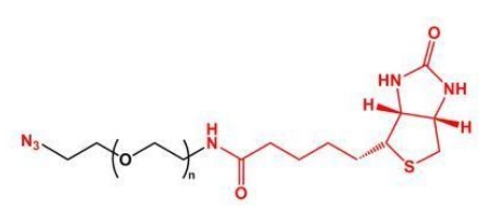 N3-PEG-Biotin	叠氮聚乙二醇生物素