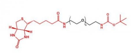  Boc-NH-PEG-Biotin Boc-PEG-Biotin 生物素聚乙二醇叔丁氧羰基