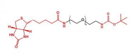  Biotin-PEG-NH-Boc	生物素聚乙二醇叔丁氧羰基