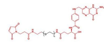 MAL-PEG-FA Folate-PEG-Mal  叶酸聚乙二醇马来酰亚胺 