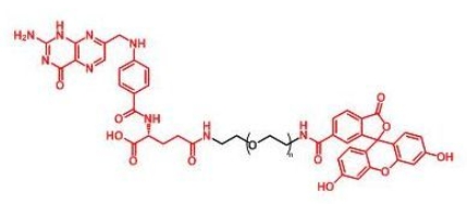 FITC-PEG-Folate Folate-PEG-FITC 荧光素聚乙二醇叶酸