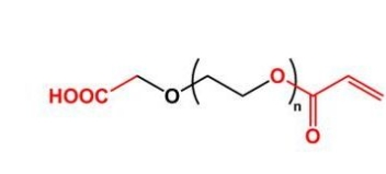 AC-PEG-COOH COOH-PEG-Acrylate  羧基聚乙二醇丙烯酸酯