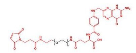 MAL-PEG-FA Folate-PEG-Mal  叶酸聚乙二醇马来酰亚胺