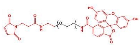 FITC-PEG-MAL MAL-PEG-FITC  荧光素聚乙二醇马来酰亚胺