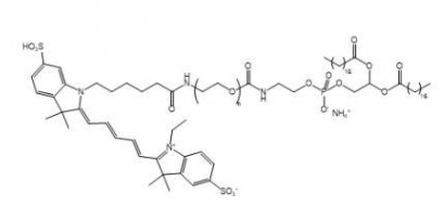 DSPE-PEG-Cy5  Cy5-聚乙二醇-二硬脂酰基磷脂酰乙醇胺  
