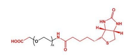 Biotin-PEG-COOH COOH-PEG-BN  羧基聚乙二醇生物素
