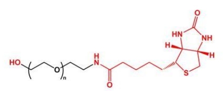 HO-PEG-Biotin Biotin-PEG-OH  羟基聚乙二醇生物素