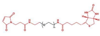 MAL-PEG-Biotin Biotin-PEG-MAL  马来酰亚胺聚乙二醇生物素