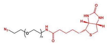 N3-PEG-Biotin  叠氮聚乙二醇生物素  Biotin-PEG-Azide