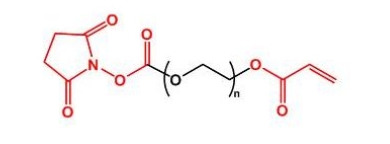 NHS-PEG-Acrylate AC-PEG-NHS  活性酯聚乙二醇丙烯酸酯