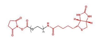 NHS-PEG-Biotin Biotin-PEG-NHS  活性酯聚乙二醇生物素