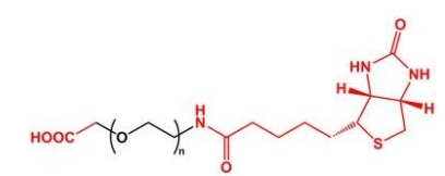 Biotin-PEG-COOH COOH-PEG-BN  羧基聚乙二醇生物素