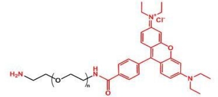  NH2-PEG-Rhodamine  RB-PEG-NH2  罗丹明聚乙二醇氨基