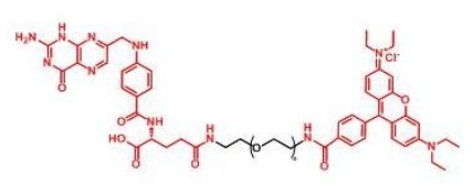 RB-PEG-Folate  Folate-PEG-RB  罗丹明聚乙二醇叶酸