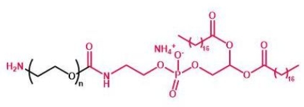 NH2-PEG-DSPE DSPE-PEG-Amine  磷脂聚乙二醇氨基