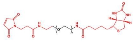 MAL-PEG-Biotin Biotin-PEG-MAL 马来酰亚胺聚乙二醇生物素