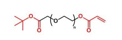 COOtBu-PEG-AC COOtBu-PEG-Acrylate 叔丁酯聚乙二醇丙烯酸酯c