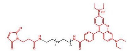 Rhodamine-PEG-MAL MAL-PEG-Rhodamine  罗丹明聚乙二醇马来酰亚胺
