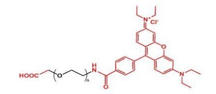 COOH-PEG-Rhodamine RB-PEG-COOH 罗丹明聚乙二醇羧基
