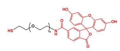  SH-PEG-FITC Thiol-PEG-FITC 荧光素聚乙二醇巯基