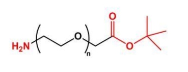  NH2-PEG-COOtBu COOtBu-PEG-NH2 氨基聚乙二醇叔丁酯