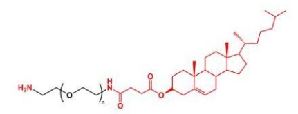 NH2-PEG-Cholesterol Cholesterol-PEG-NH2 氨基聚乙二醇胆固醇