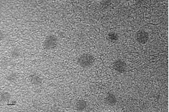 油溶性二氧化锰纳米颗粒（10nm）；MnO2纳米粒子