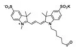Sulfo CY3 COOH；水溶性三甲川花菁染料标记羧基