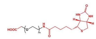 Biotin-PEG-COOH COOH-PEG-BN  	羧基聚乙二醇生物素