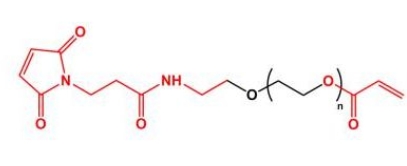 AC-PEG-MAL MAL-PEG-Acrylate 马来酰亚胺聚乙二醇丙烯酸酯 