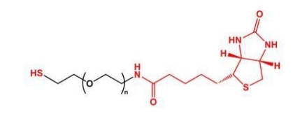 SH-PEG-Biotin Biotin-PEG-SH  巯基聚乙二醇生物素 