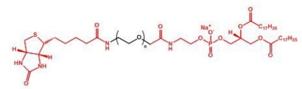  Biotin-PEG-DSPE DSPE-PEG-Biotin  生物素聚乙二醇磷脂 