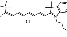 CY3-PEG2K-COOH；花青素Cy3-聚乙二醇-羧基；Cyanine3-PEG-Acid
