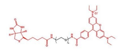 Biotin-PEG-RB RB-PEG-Biotin 生物素聚乙二醇罗丹明