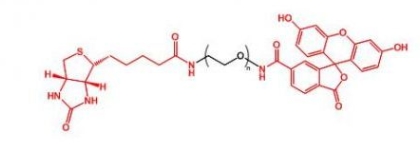 Biotin-PEG-FITC FITC-PEG-Biotin  生物素聚乙二醇荧光素