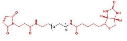 MAL-PEG-Biotin Biotin-PEG-MAL   马来酰亚胺聚乙二醇生物素