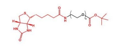 Biotin-PEG-COOtBu Biotin-PEG-TERT 生物素聚乙二醇叔丁酯 