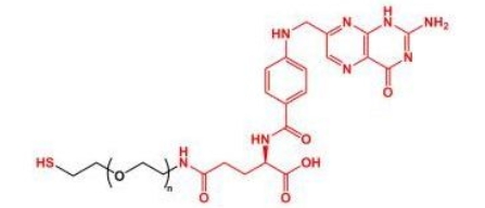 FA-PEG-SH SH-PEG-FA SH-PEG-Folate  叶酸聚乙二醇巯基