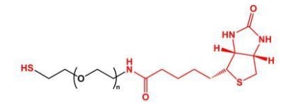  SH-PEG-Biotin Biotin-PEG-SH  巯基聚乙二醇生物素