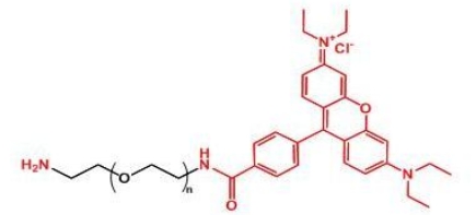 NH2-PEG-Rhodamine RB-PEG-NH2  罗丹明聚乙二醇氨基