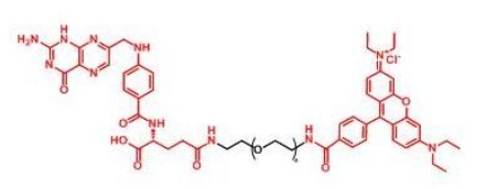  RB-PEG-Folate Folate-PEG-RB 罗丹明聚乙二醇叶酸 