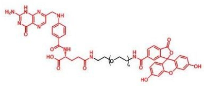 FITC-PEG-Folate Folate-PEG-FITC  荧光素聚乙二醇叶酸