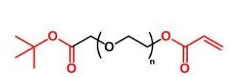 COOtBu-PEG-AC COOtBu-PEG-Acrylate  叔丁酯聚乙二醇丙烯酸酯