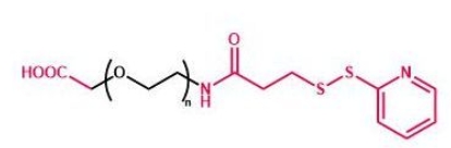 OPSS-PEG-COOH PDP-PEG-COOH 羧基聚乙二醇巯基吡啶