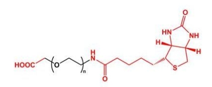 Biotin-PEG-COOH COOH-PEG-BN 	羧基聚乙二醇生物素